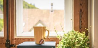 Najlepsze książki obyczajowe i romanse z różnych krajów