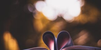 Najlepsze klasyki literatury obyczajowej i romansowej, które warto przeczytać