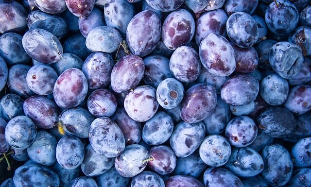 Jakie zasilanie centrali alarmowej?