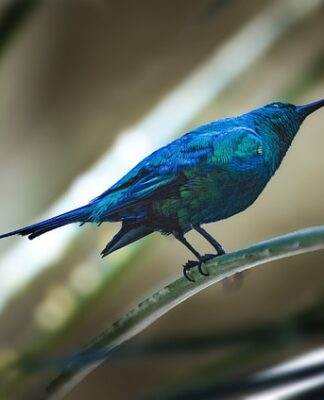 Jak długo ważna jest faktura VAT? Jak długo ważna jest faktura VAT?