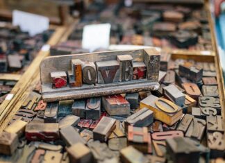 Co to jest krój Cropped?