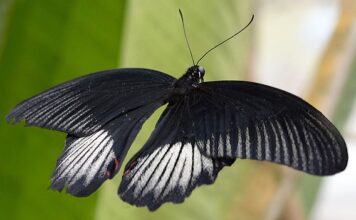 Jak się łowi na grunt?