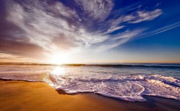 Jaka pianka do Portugalii? Jaka pianka do Portugalii?