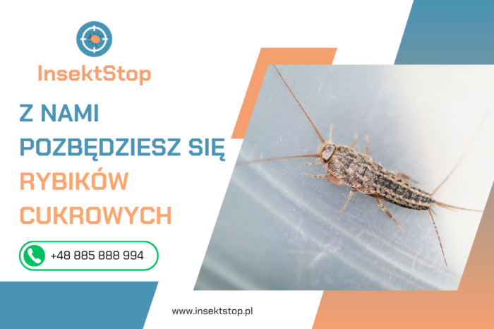 Rybiki w łazience